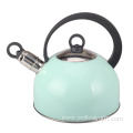 Stainless Steel Whistling Kettle with Handle in Green